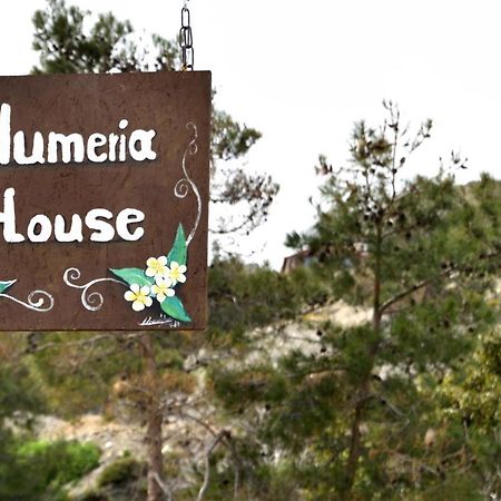Plumeria House Архангелос Екстериор снимка